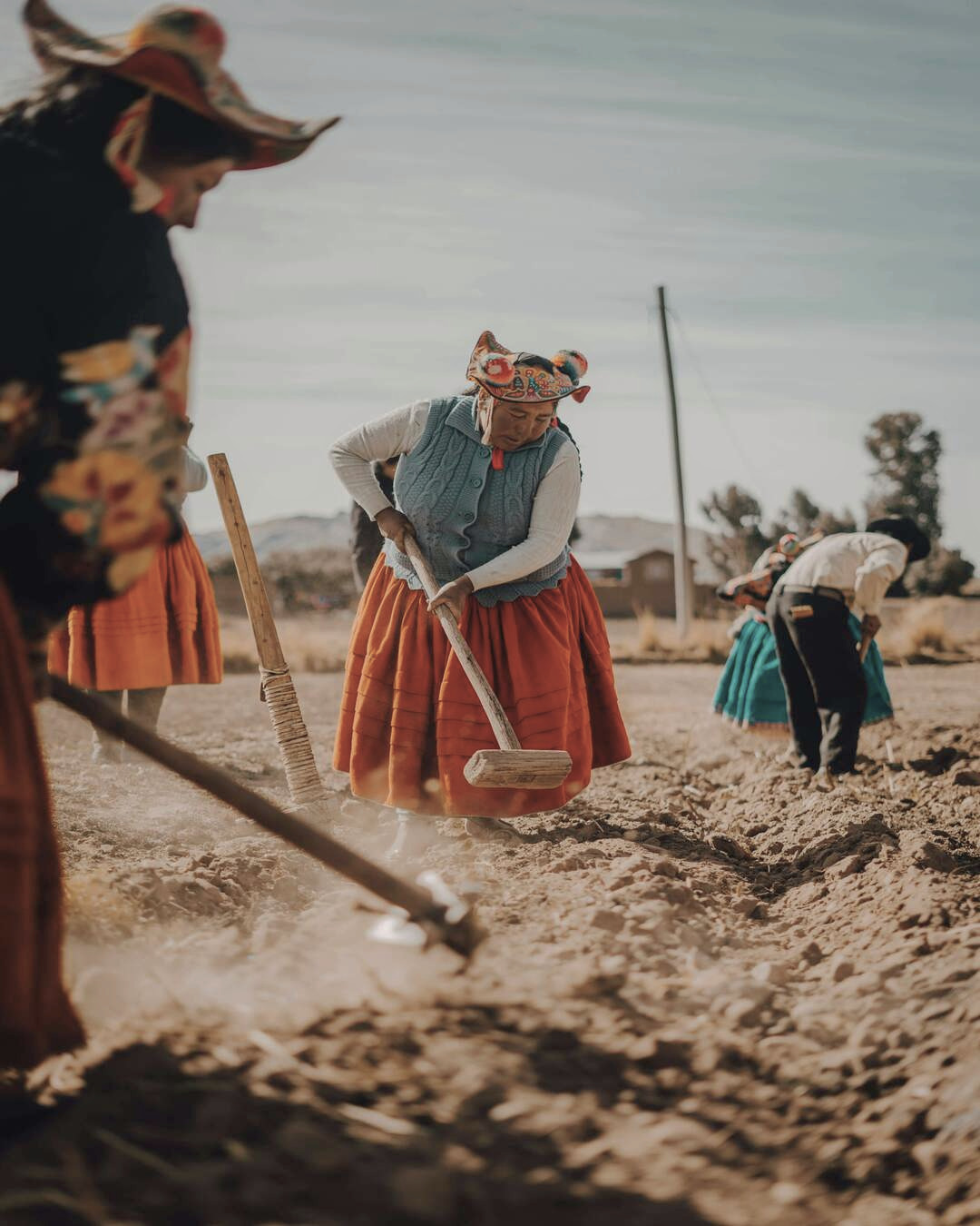Pobladores de Puno trabajando en el campo con paisaje andino en zona agrícola