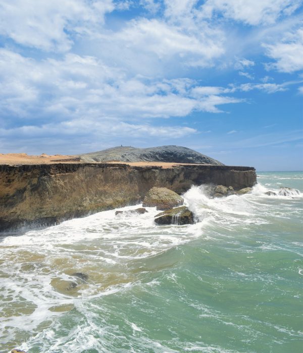 Costa con acantilados en la Reserva Nacional de Paracas con paisaje natural del Pacífico