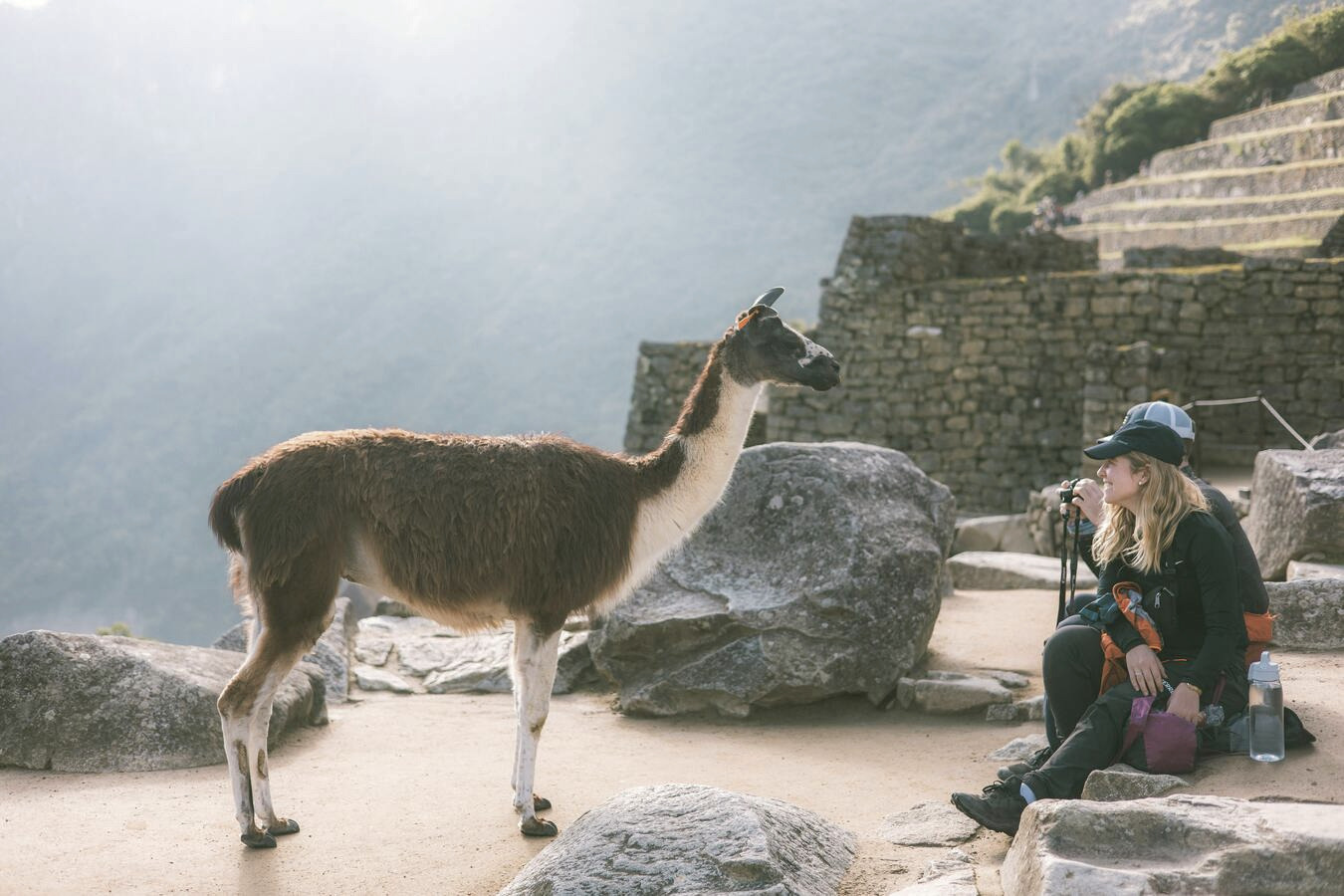 Viajeros disfrutando Machu Picchu junto a una llama en la ciudadela inca