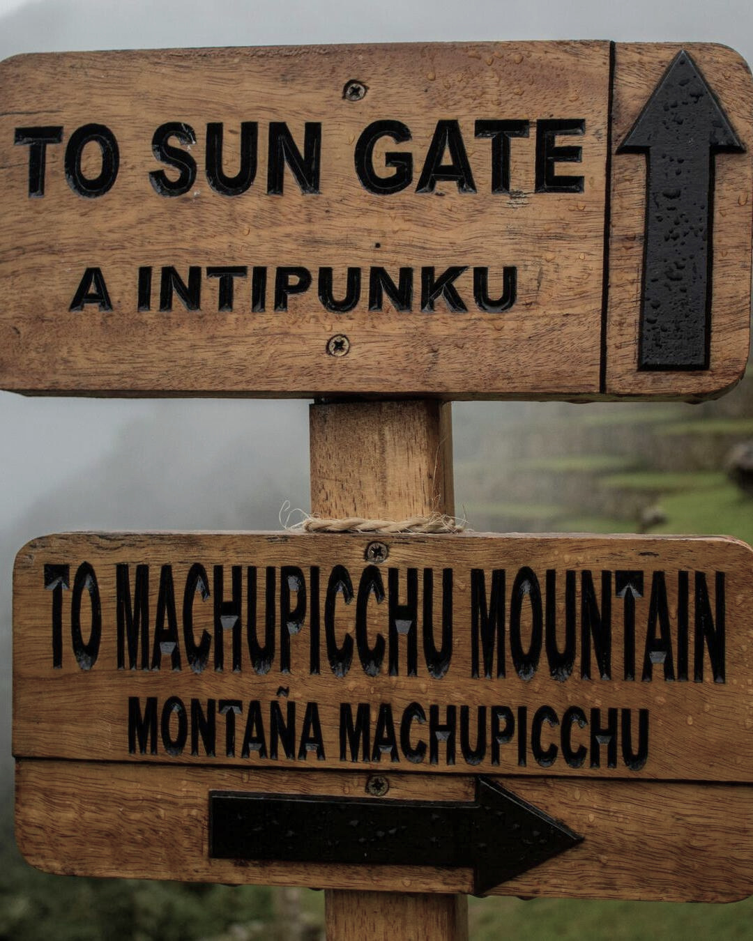Llama colorida frente a la impresionante vista de Machu Picchu en los Andes peruanos