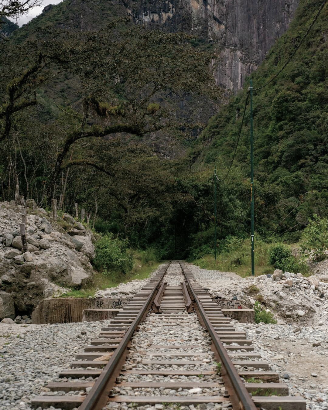 Vías del tren rumbo a Aguas Calientes entre montañas andinas