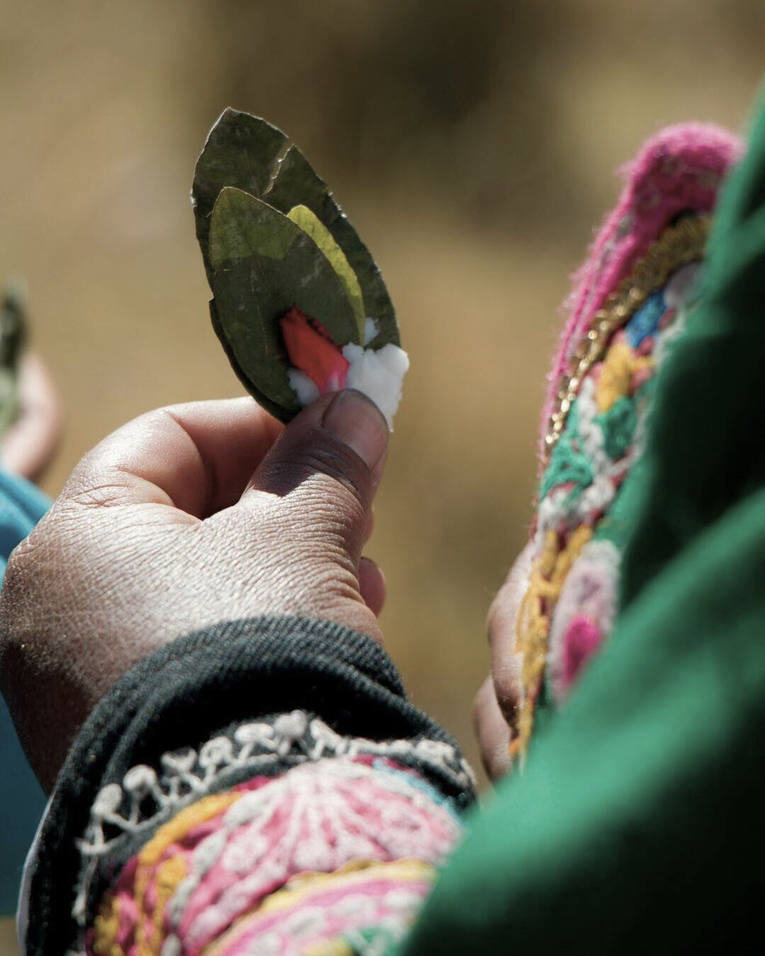 Mujer sosteniendo hojas de coca en sus manos, un remedio natural tradicional contra el mal de altura en Cusco