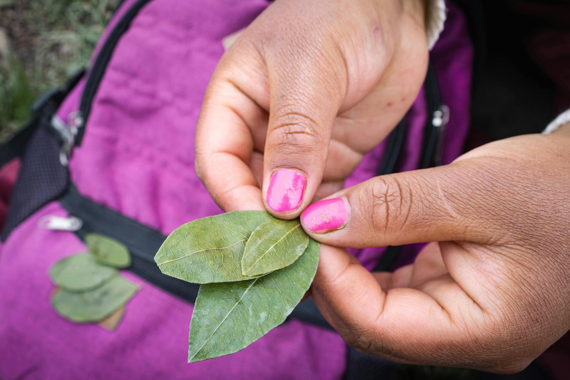 Mujer sosteniendo tres hojas de coca en sus manos como símbolo tradicional de la cultura andina en Cusco