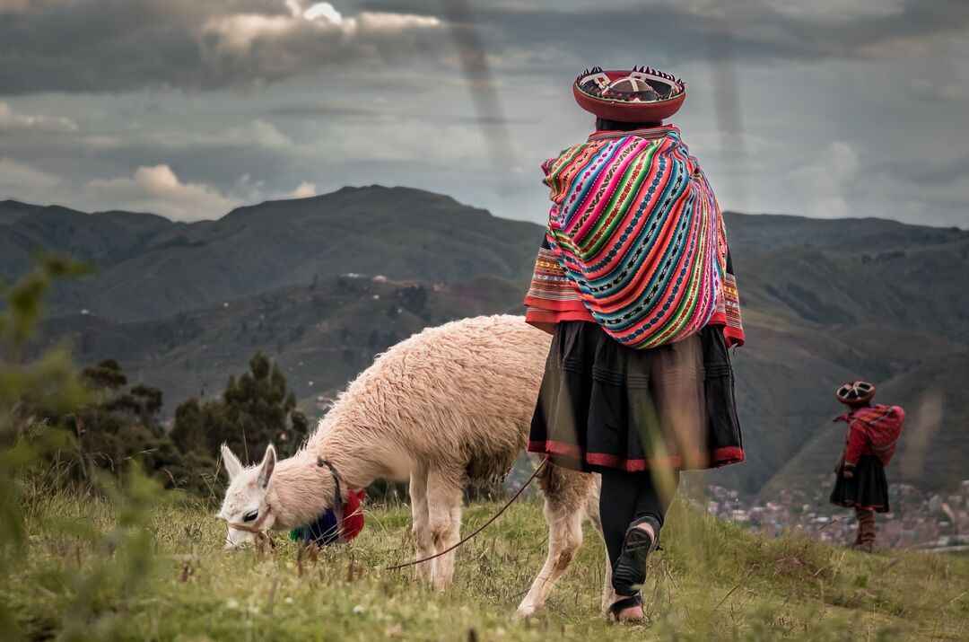 Peruana con su alpaca en áreas verdes de Cusco